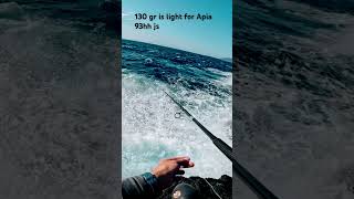 APIA 93hh a canon in your hands #mancing #fishinggreece #ψάρεμα #saltwaterfishing #hellas