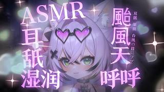 【 ASMR】陪伴你颱風天的午夜💤呸咯呸咯💗 (Ear licking,耳舐め,귀 핥기 )