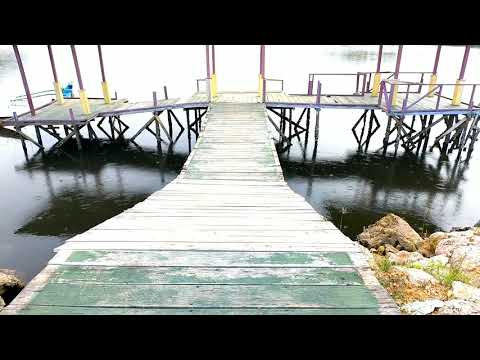 Saya Mau Ikut Yesus (COVER) by_Pace Saxophone 🎷