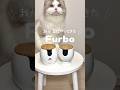 【Furbo】おやつが飛び出すペットカメラ、猫の反応がかわいすぎた！#PR #ファーボ #ペットカメラ#見守りカメラ #Furbo