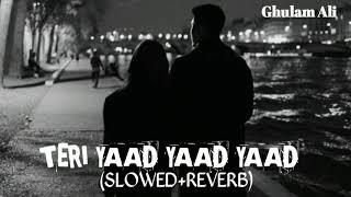 Teri Yaad Yaad || (SLOWED AND REVERB) || Ghulam Ali || Bewafa(2005) ||  Lofi Music