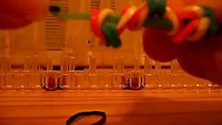 метелик миру rainbow loom урок №1 метелик миру rainbow loom урок №1