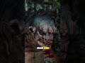 Trollololo Paints The Redanian Bird #witcher3 #shorts