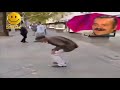 استهتر بملابسه ومظهره فكانت المفاجأة استهتر بملابسه ومظهره فكانت المفاجأة