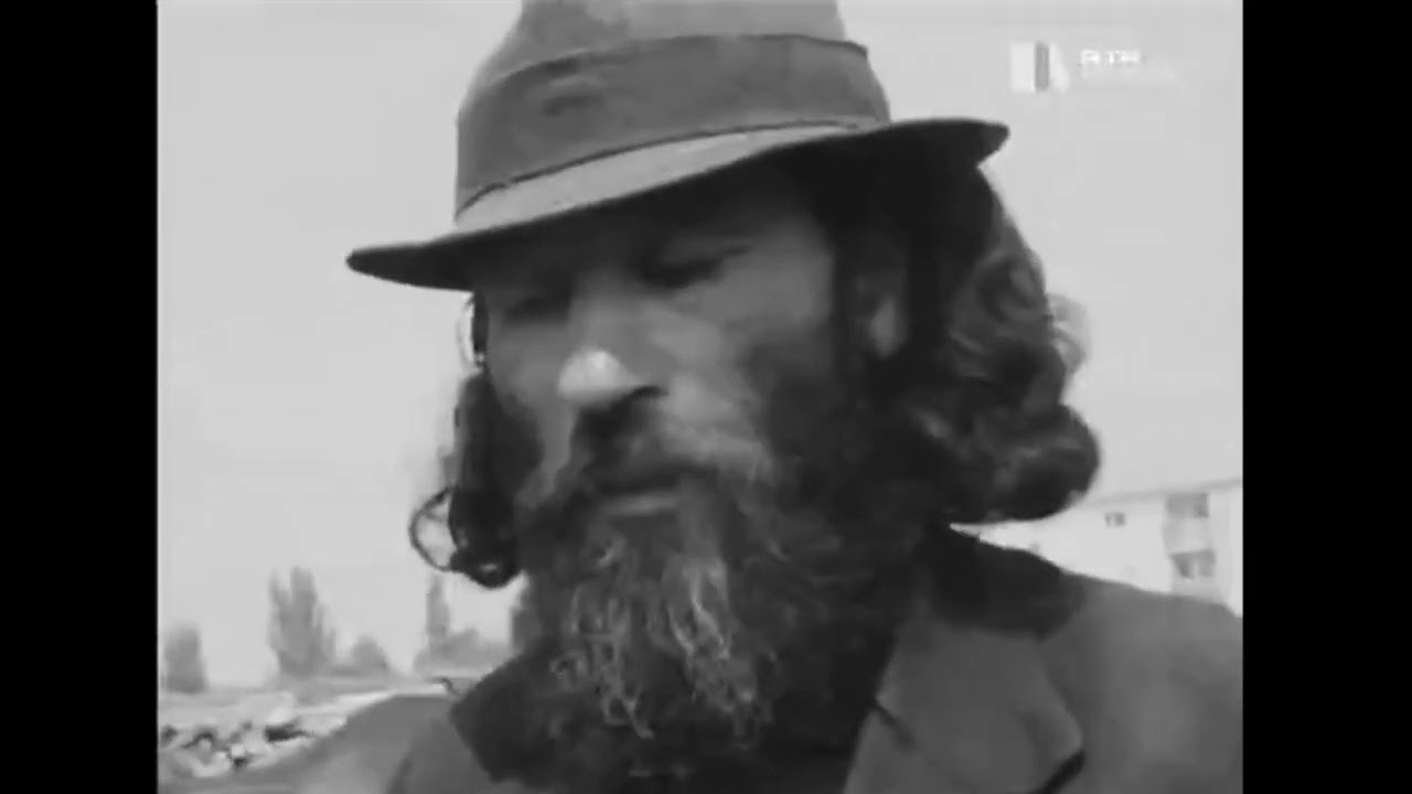 A Feira de Gado dos Ciganos em Évora e Beja