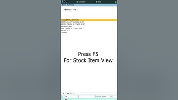 Find out Negative stock in Tally Prime ? | Negative stock का पता कैसे लगाएं ?