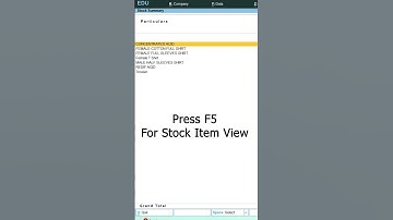 Find out Negative stock in Tally Prime ? | Negative stock का पता कैसे लगाएं ?