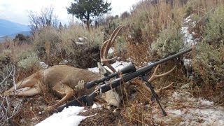 2015 Colorado Muley Hunt Success