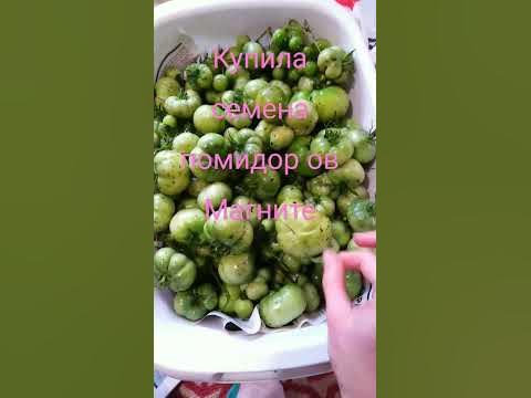 семена из магнита - YouTube