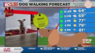 Shelden's Dog Walking Forecast on 2nd Cup features Oscar