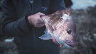 Targeting Big Winter Reds Off The Rocks | Coastal Capers