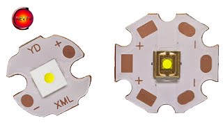 :  YinDing vs Osram Culpm1.tg Cslnm1.tg