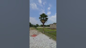 Plots near Prem Mandir in Vrindavan #vrindavan #shortvideo