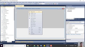Kuliah Online - Panduan Tugas Kelompok Pemrograman Visual