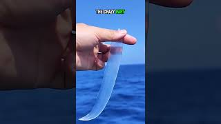 Oceans Invisible Creature