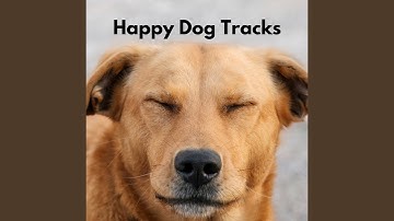 Opulent Music for Late Talk