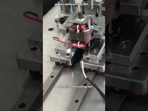 Single Station Automatic Screw Fastening Machine for Motors | Factory Direct
