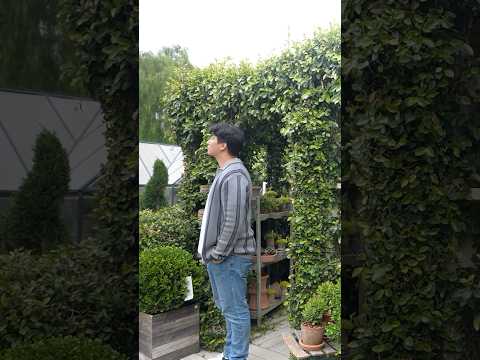 リラックスできるASMRモンタージュを作ってみました
