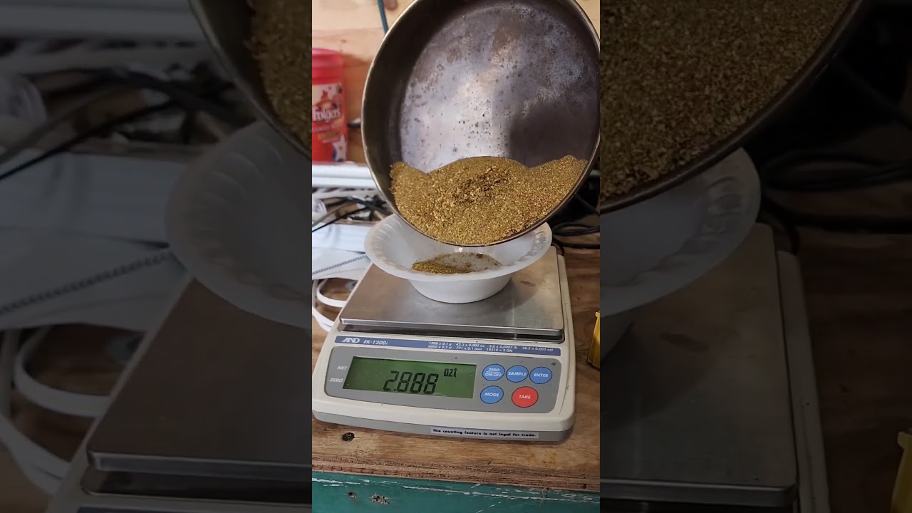 Огромная очистка золота на сумму более 60 000 долларов!