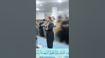 سورة آل عمران أرکان سلمان- اية 65 #أرکان_سلمان#آل_عمران