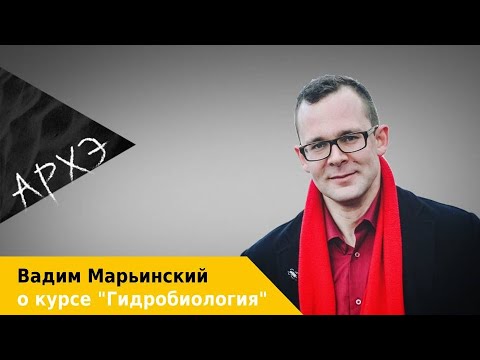 Вадим Марьинский: Курс "Гидробиология"