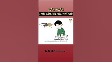 Rắn Tuấn - Loài rắn mới của thế giới được tìm thấy tại Việt Nam  #suthatkhaisang #khampha #tintuc