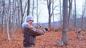 Less screens, MORE LIFE