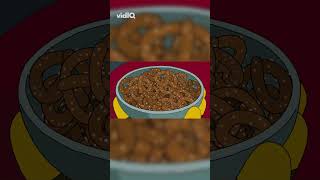 Self-feeding pretzels! Open your mouth, Chomp Away! 🥨