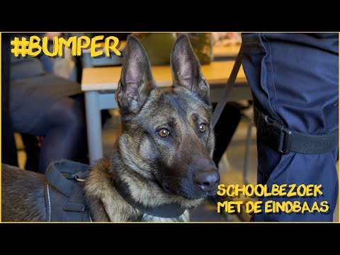 BUMPER OP SCHOOLBEZOEK MET DE EINDBAAS