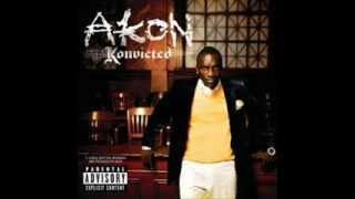 Akon - Shake Down HD