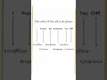 Cell Cycle Phases Trick 🔥 | Interphase to Cytokinesis | #shorts #upsc