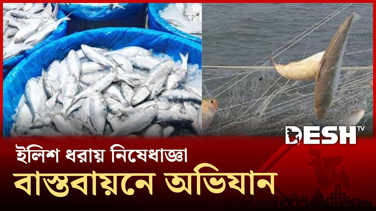 ইলিশ ধরায় নিষেধাজ্ঞা বাস্তবায়নে অভিযান | Hilsa Fishing Ban  | River Police | Desh TV