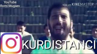 Курдские свадьбы клипы концерты