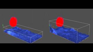 Liquid Volume Conservation