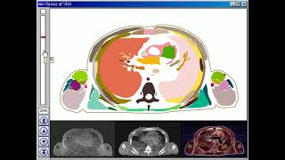 Browsing software of male whole body
