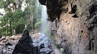 Details Springbrook Gold Coast Hinterland Queensland Update