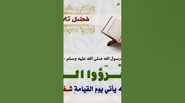 @تلاوه تشرح القلب انصح الجميع الاستماع لها#ابو تميم جليبيب الشريف
