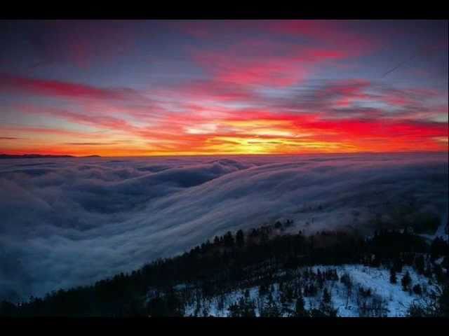 Your Wildest Dreams The Moody Blues 