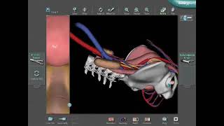 LAP Mentor - 3D Anatomical Map