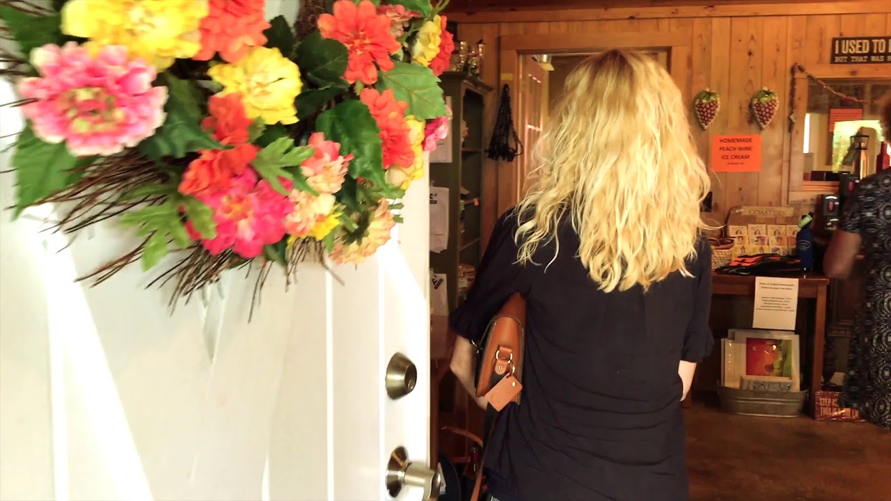 Laurel Gray Vineyard - Hamptonville, NC