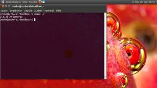 Alte Kernelversionen aus dem Grub Bootloader entfernen - Ubuntu/Linux