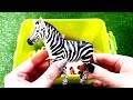 Learn Wild Zoo Animals and Sea Animal Character Toys For Kids Children Video