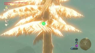 Hardest To Get Korok Seed In Zelda Breath Of The Wild