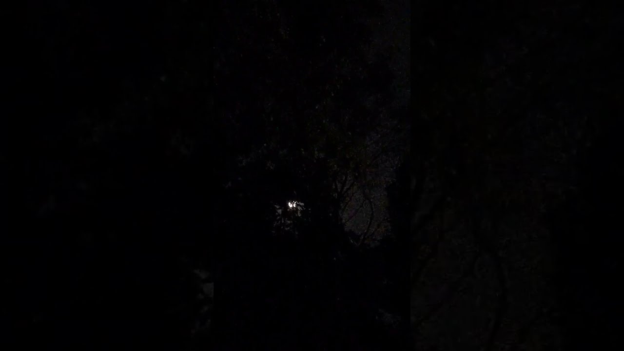 Middle At 12 Pm Night YouTube Middle At 12 Pm Night YouTube
