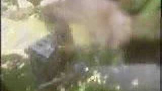 Todd Rundgren - 1997 XGames Theme screenshot 5