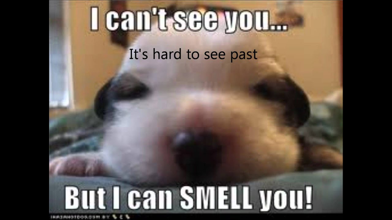 Letter To Me Brad Paisley YouTube