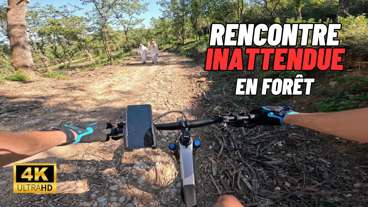 Randonnée VTT et drôle de rencontre en pleine forêt ! 🚲