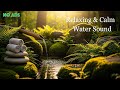 Zen Garden in the Forest - Relaxing Piano Music with Bamboo Water & Sunset Vibes