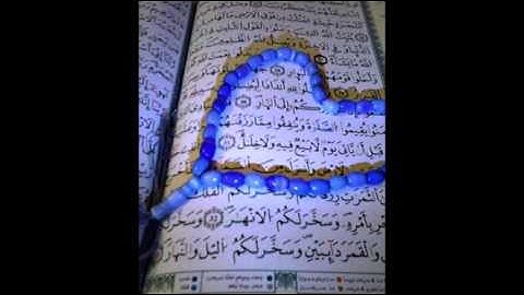 سورة القارعة - الشيخ أبوبكر الشاطري