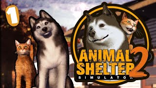 Animal Shelter 2 | Giving Every Pet a Loving Home [EP 1]